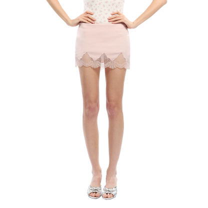Lace Panel Embroidered Cut-Out Mini Skirt