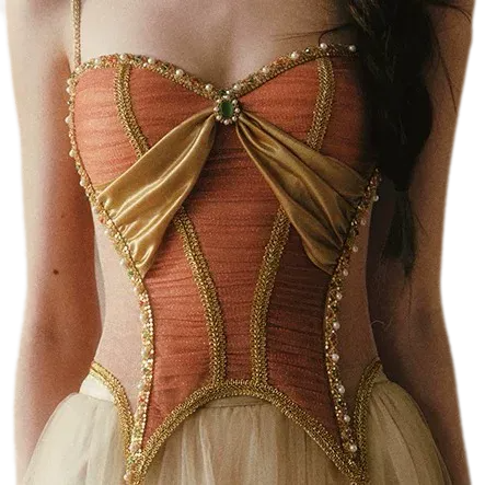 Gold Mesh Corset Dress Set