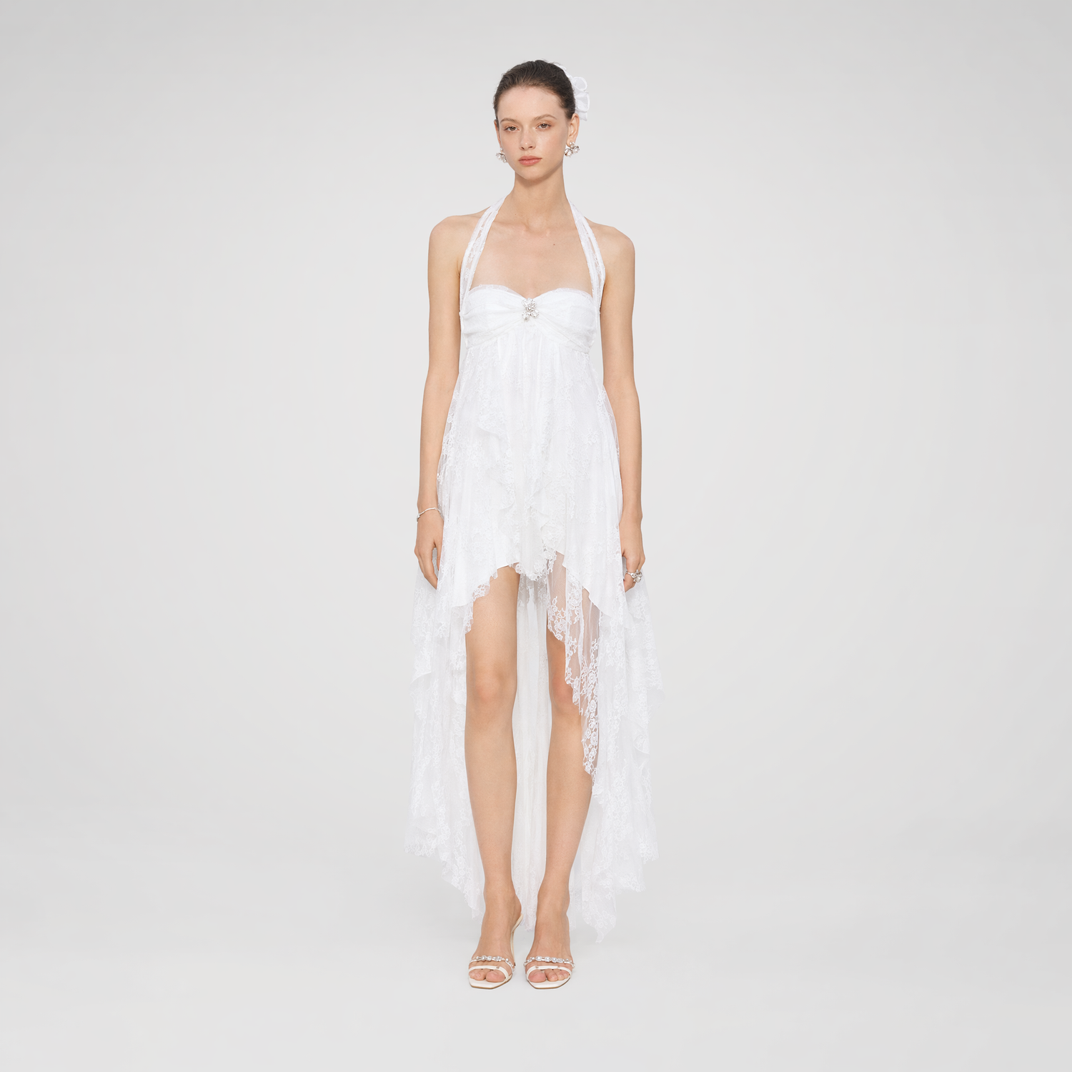 Lace Chiffon Dress