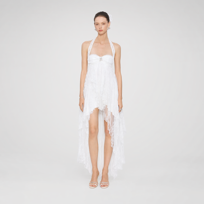 Lace Chiffon Dress