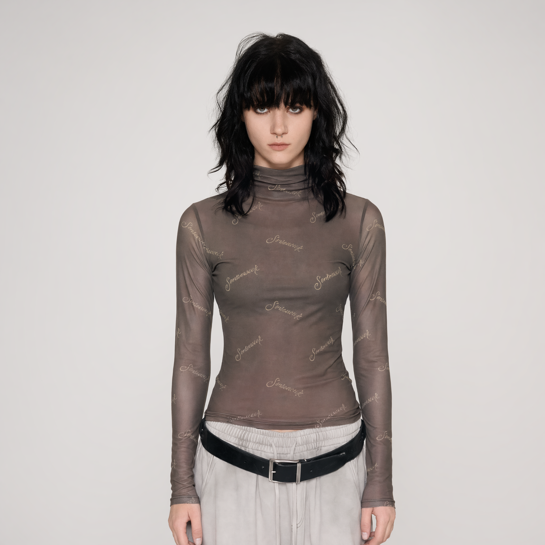 Mesh Turtleneck Top