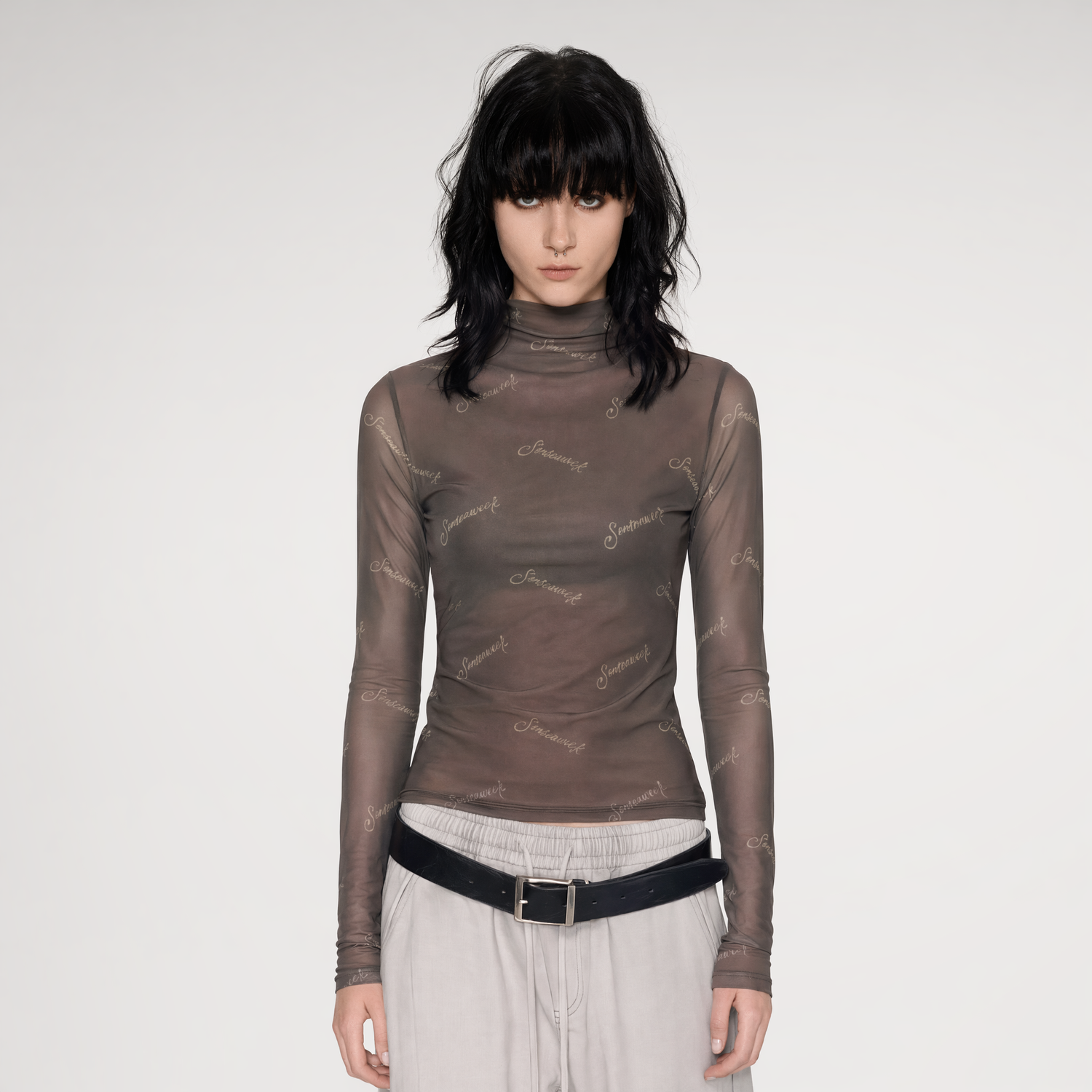 Mesh Turtleneck Top